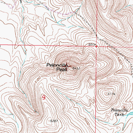 Topographic Map of Peloncillo Peak, NM