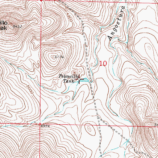 Topographic Map of Peloncillo Tank, NM