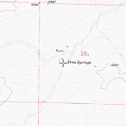 Topographic Map of Pea Springs, NM