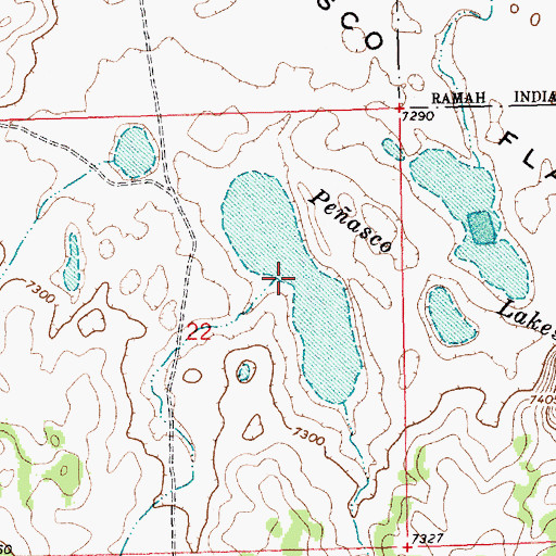 Topographic Map of Peasco Lakes, NM
