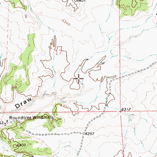 Topographic Map of Perry Canyon, NM