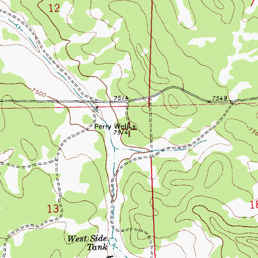 Topographic Map of Perry Well, NM