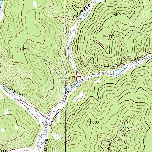Topographic Map of Pertie Canyon, NM