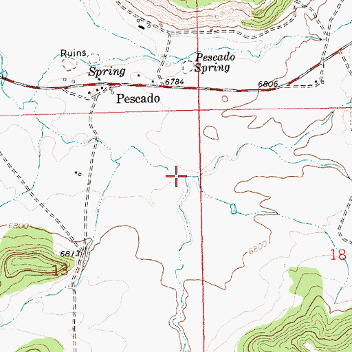 Topographic Map of Pescado Canyon, NM