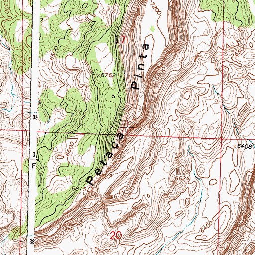 Topographic Map of Petaca Pinta, NM