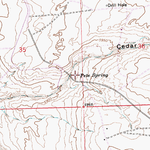Topographic Map of Pete Spring, NM