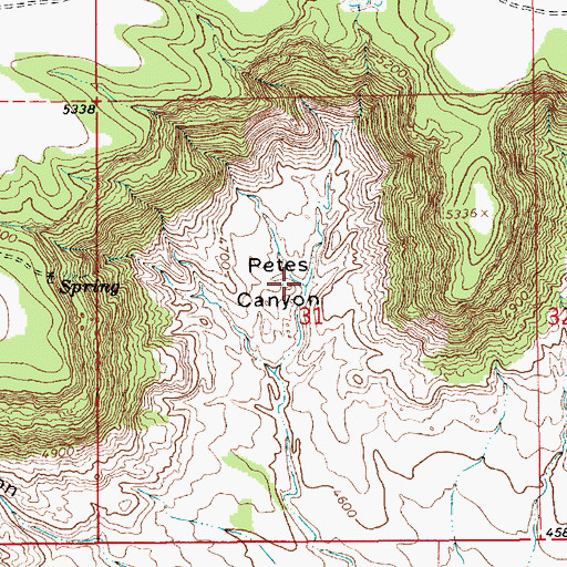 Topographic Map of Petes Canyon, NM