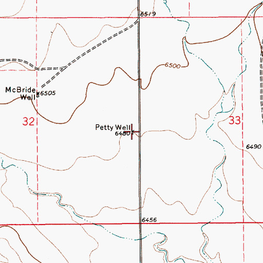 Topographic Map of Petty Well, NM
