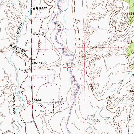 Topographic Map of Pickering Arroyo, NM