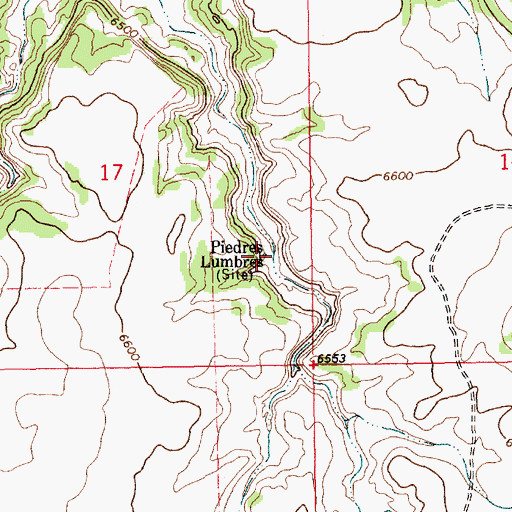 Topographic Map of Piedres Lumbres, NM