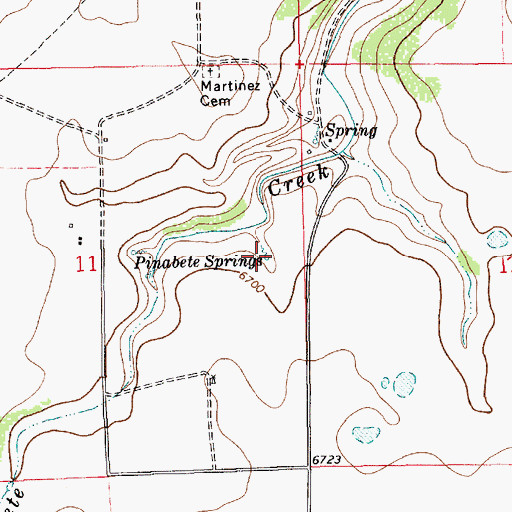 Topographic Map of Pinabete Springs, NM