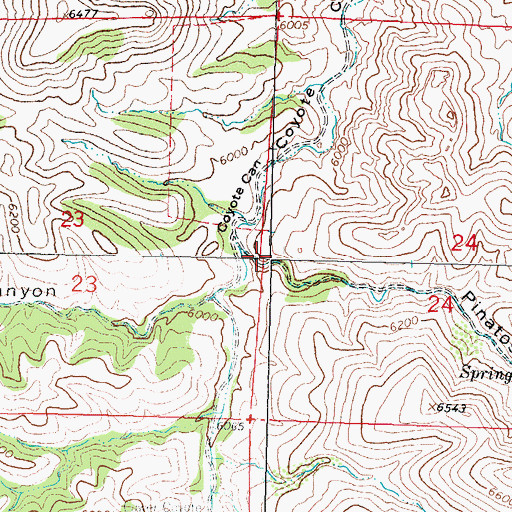 Topographic Map of Pinatosa Canyon, NM