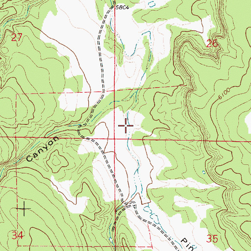 Topographic Map of Pinavetito Canyon, NM
