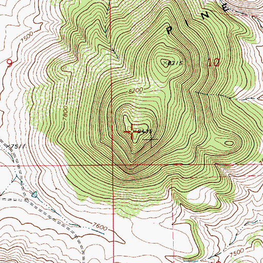 Topographic Map of Pine Buttes, NM