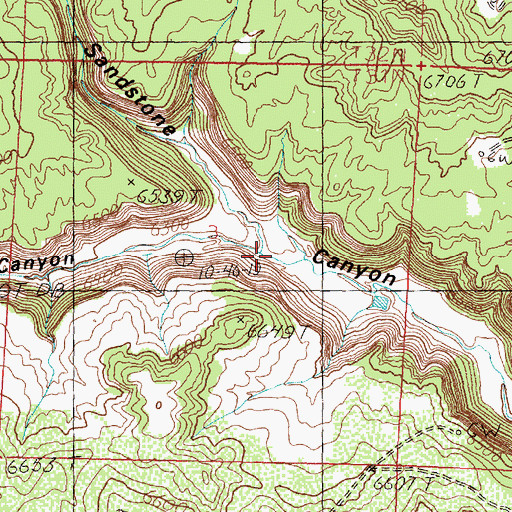 Topographic Map of Pine Canyon, NM