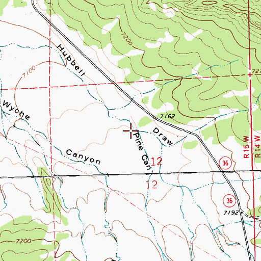 Topographic Map of Pine Canyon, NM