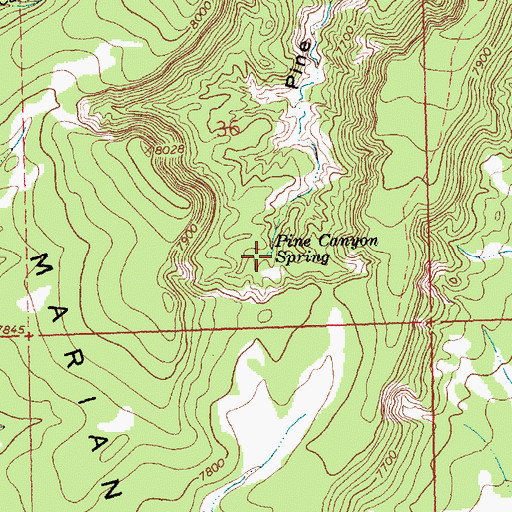 Topographic Map of Pine Canyon Spring, NM