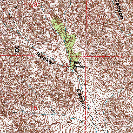 Topographic Map of Pine Spring, NM