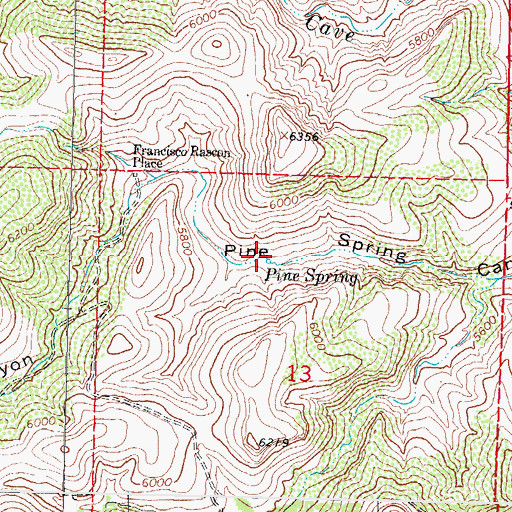 Topographic Map of Pine Spring, NM
