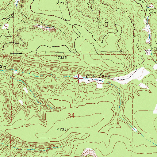 Topographic Map of Pine Tank, NM