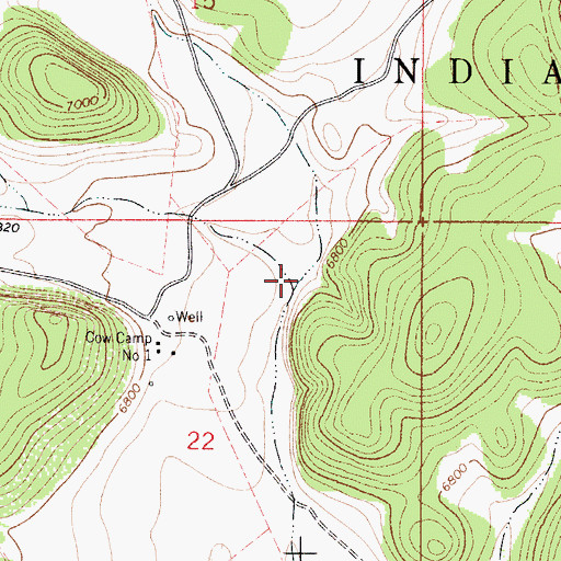 Topographic Map of Pine Tree Canyon, NM