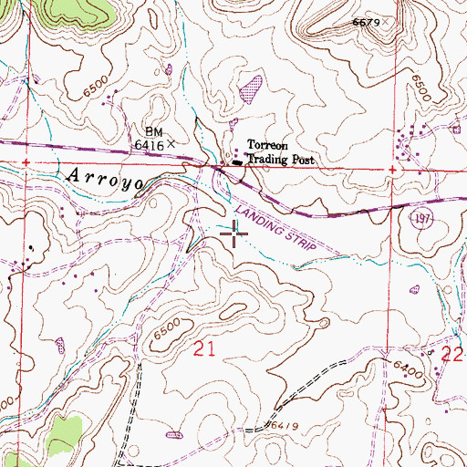 Topographic Map of Pion Canyon, NM