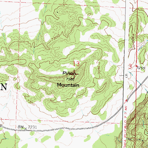 Topographic Map of Pion Mountain, NM