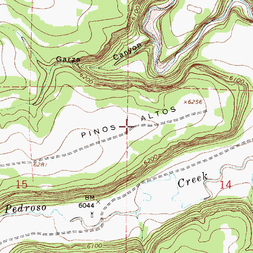Topographic Map of Pinos Altos, NM