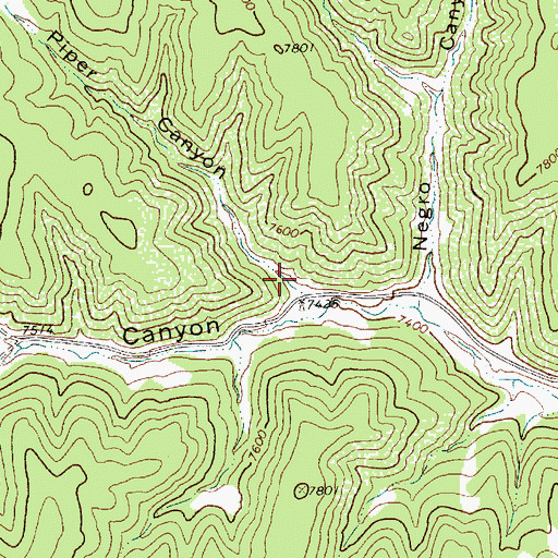Topographic Map of Piper Canyon, NM