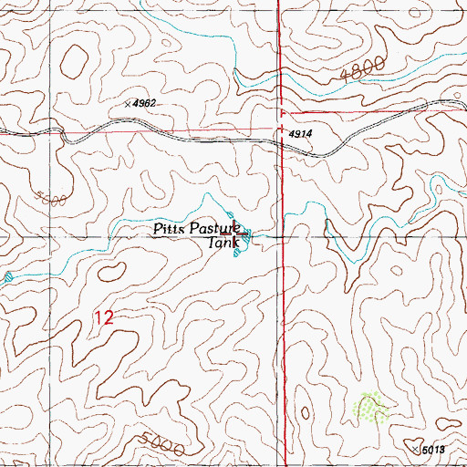 Topographic Map of Pitts Pasture Tank, NM