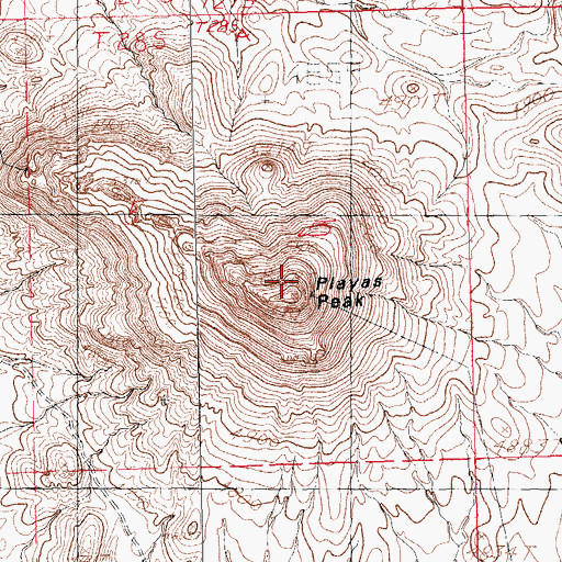Topographic Map of Playas Peak, NM