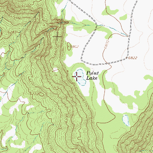 Topographic Map of Point Lake, NM
