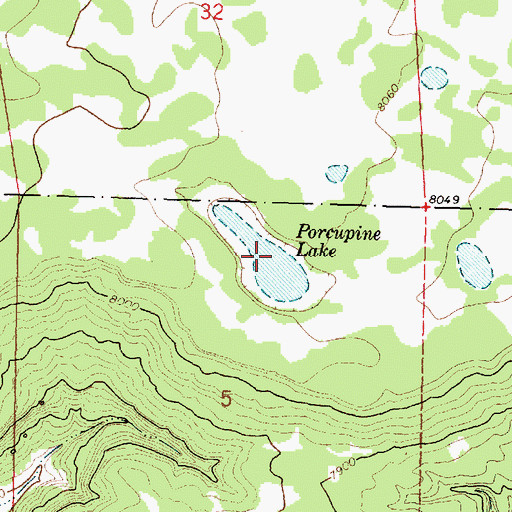 Topographic Map of Porcupine Lake, NM