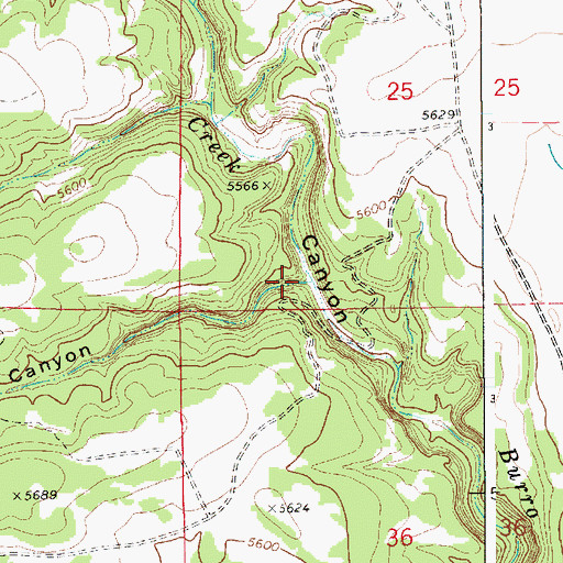Topographic Map of Porter Canyon, NM