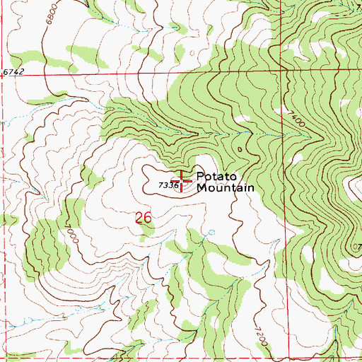 Topographic Map of Potato Mountain, NM