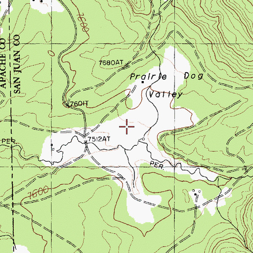 Topographic Map of Prairie Dog Valley, NM