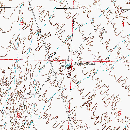Topographic Map of Price Tank, NM