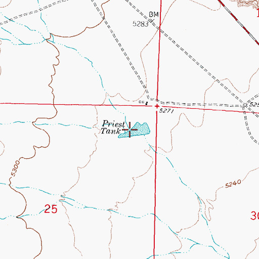 Topographic Map of Priest Tank, NM