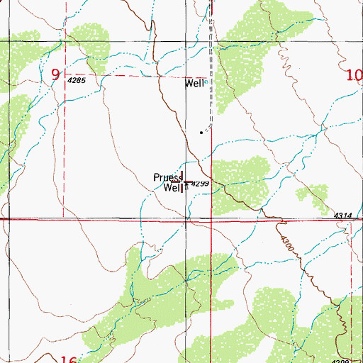 Topographic Map of Pruess Well, NM