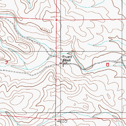 Topographic Map of Pruett Well, NM