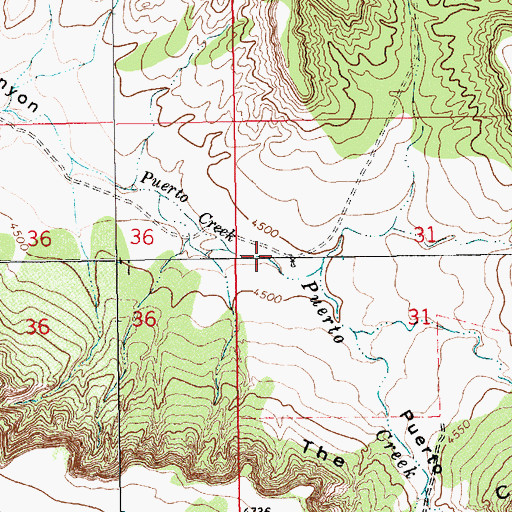 Topographic Map of Puerto Canyon, NM