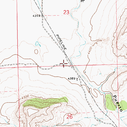 Topographic Map of Puerto Canyon, NM
