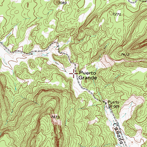 Topographic Map of Puerto Grande, NM