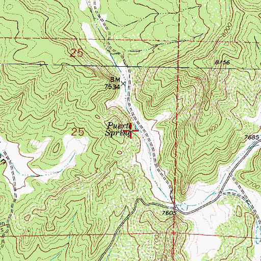 Topographic Map of Puerto Spring, NM