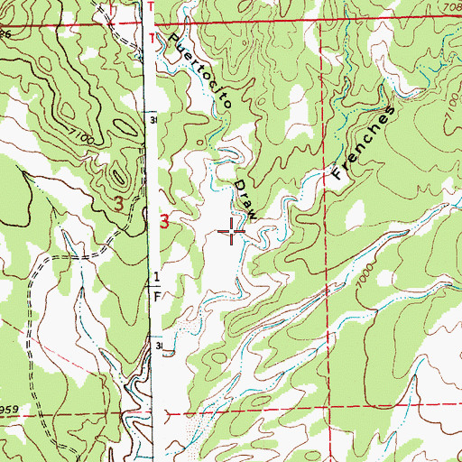 Topographic Map of Puertocito Draw, NM