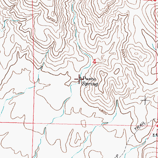 Topographic Map of Puma Spring, NM