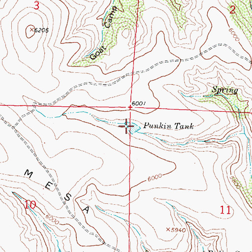 Topographic Map of Punkin Tank, NM