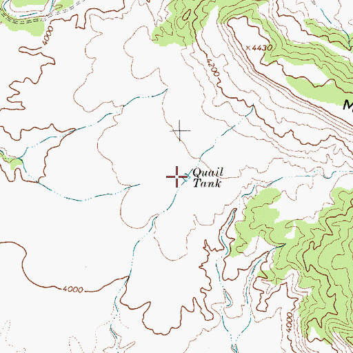 Topographic Map of Quail Tank, NM