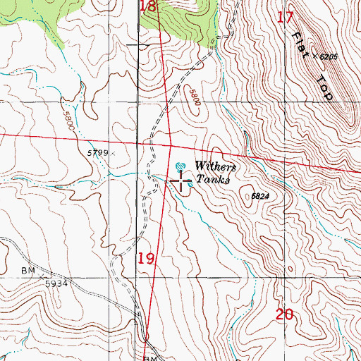 Topographic Map of R C Withers Tanks, NM