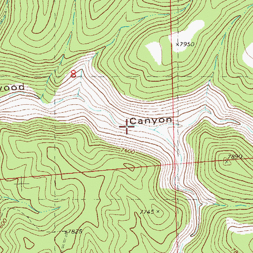 Topographic Map of Rail Canyon, NM